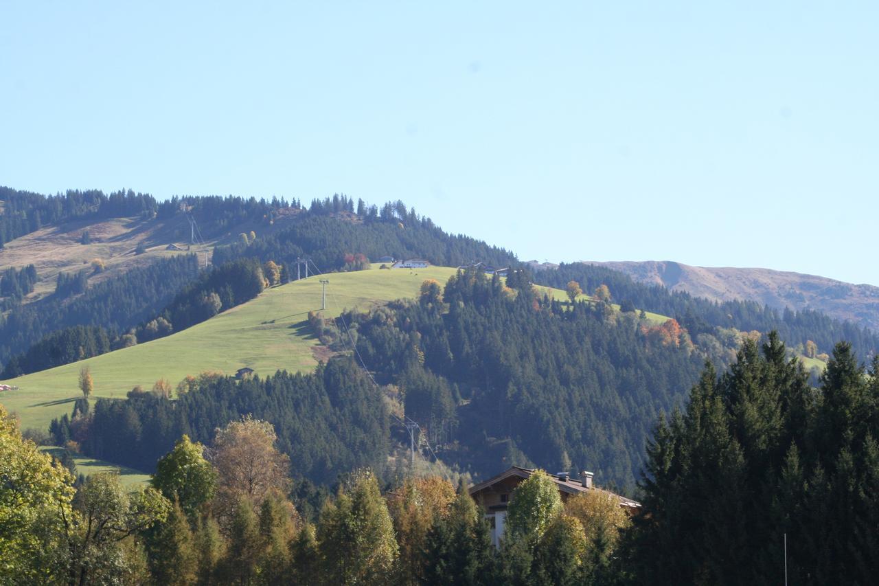 Appartement Landhaus Eder à Kirchberg en Tyrol Extérieur photo